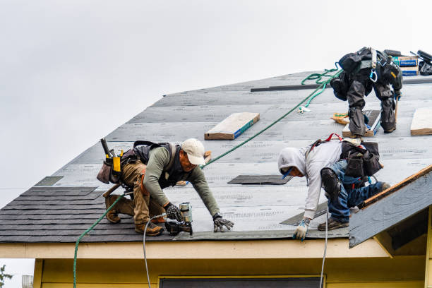 Professional Roofing technician working in Farley, IA